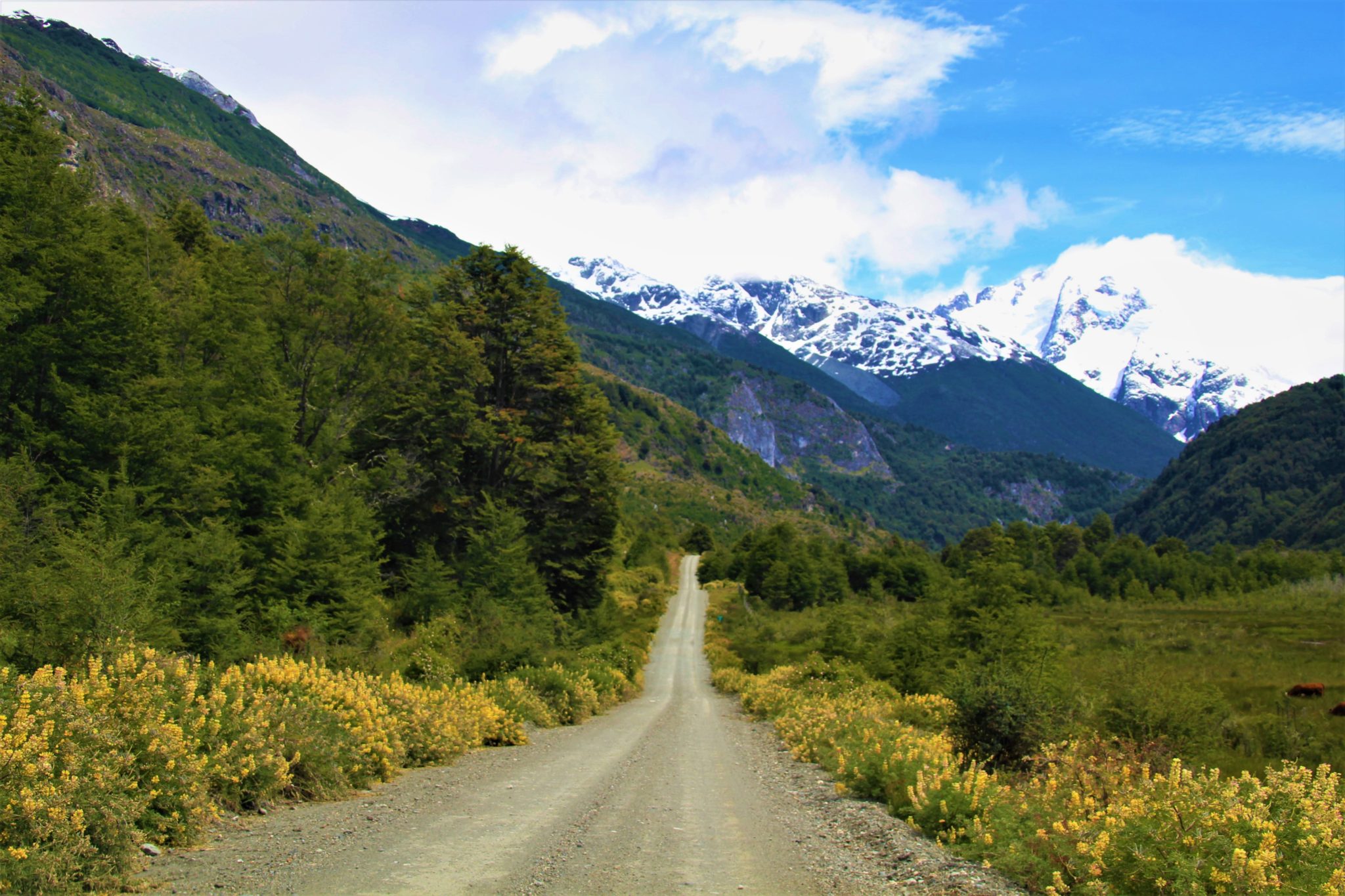 road austral patagonia chile