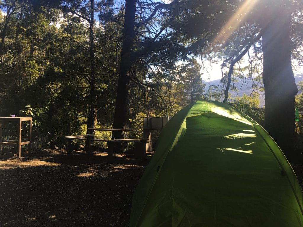 visit-conguill-o-park-the-most-beautiful-in-araucania-travel-coach-chile