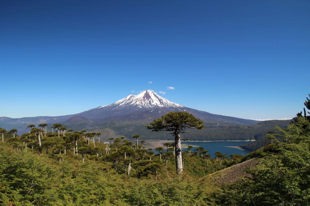 watchtower araucaria lagoon volcano llaima