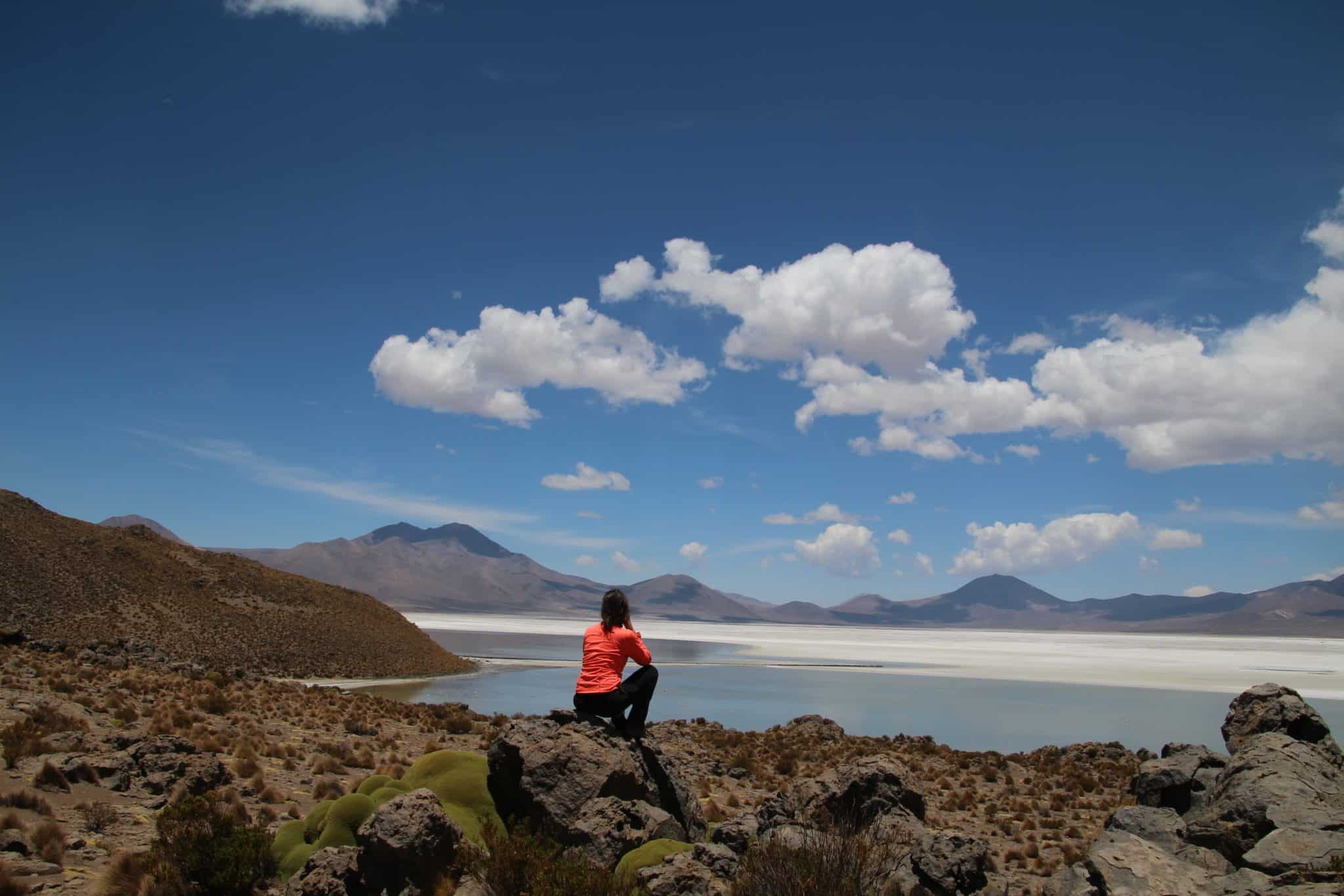 facing the desert of surire in the altiplano chili