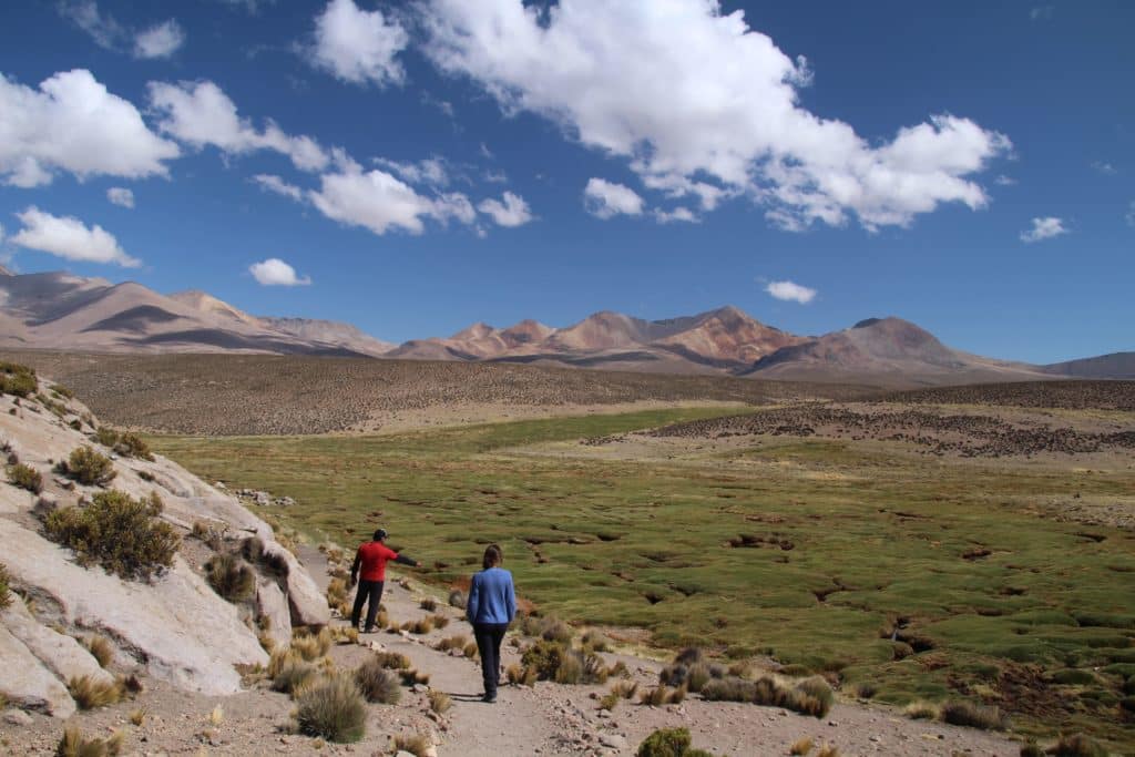 randonnee pedestre dans l'altiplano dans un bofedal à l'extrême nord au chili