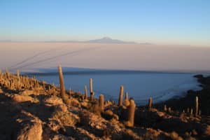Ile aux cactus Uyuni Salar Bolivie