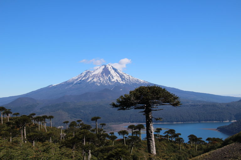 araucania chili parc national conguillio volcan llaima