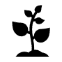 icon plant