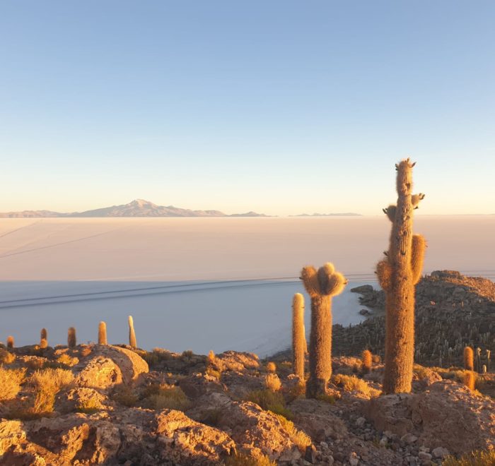 lever de soleil désert d Uyuni ile incahuasi pescadores cactus salar