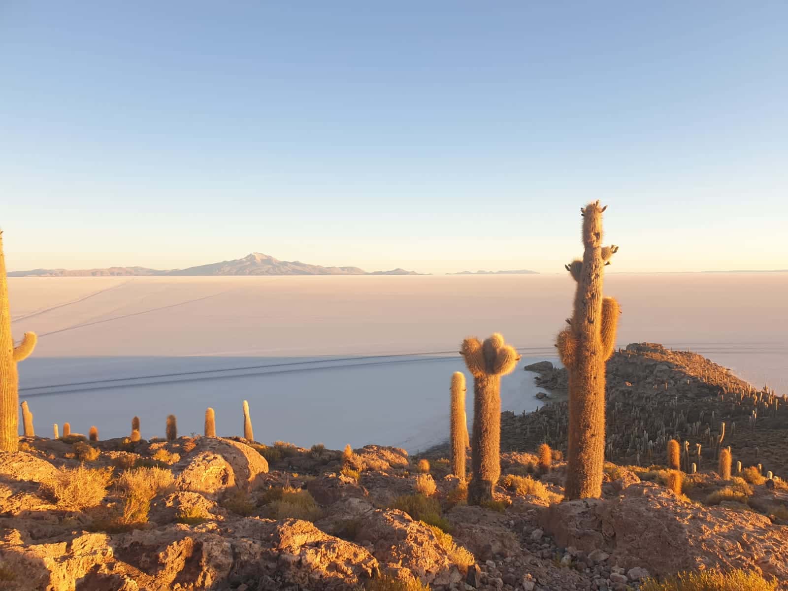 lever de soleil désert d Uyuni ile incahuasi pescadores cactus salar