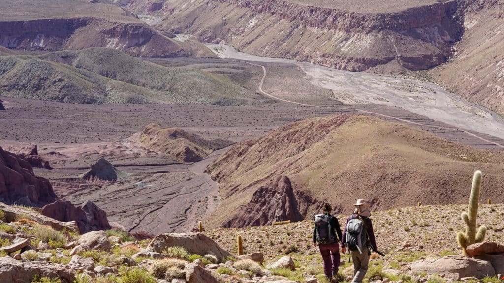 Trekking domeyko