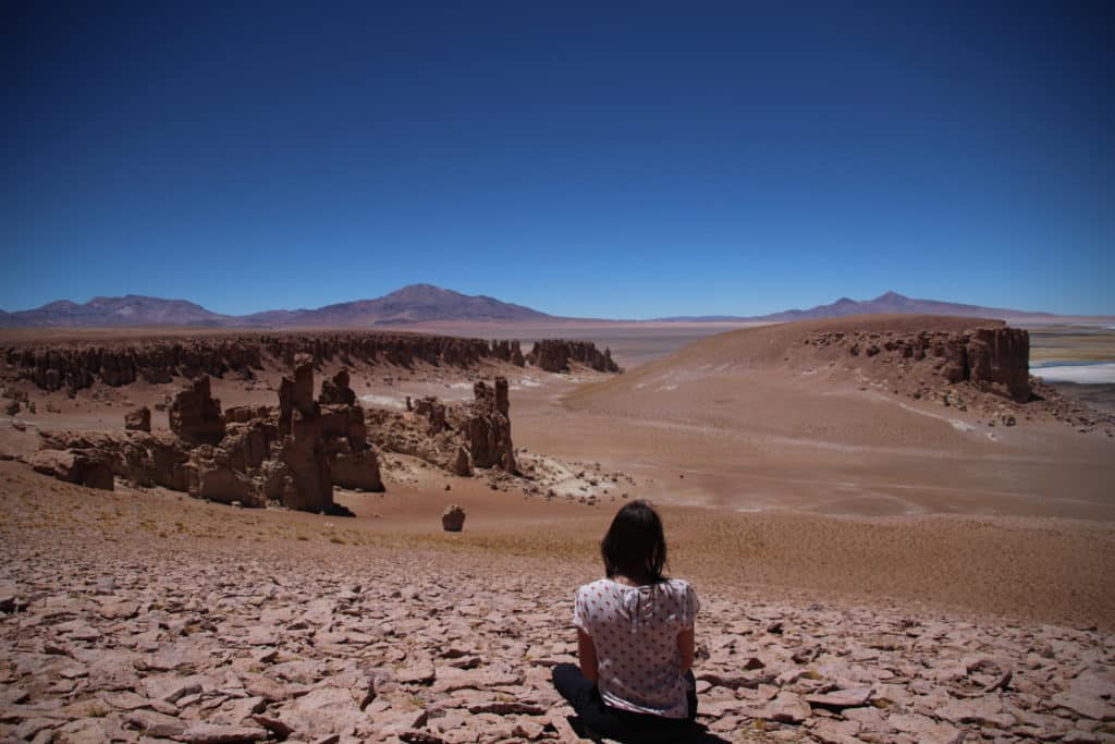 Salar de Tara Atacama Chile