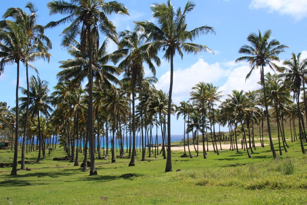 Anakena beach easter island