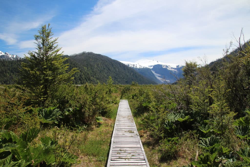 pumalin hike glacier