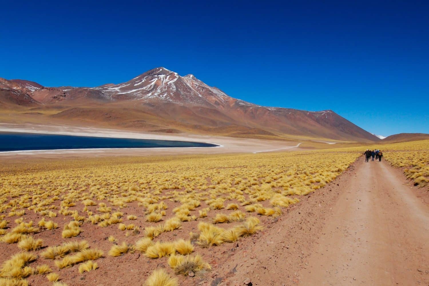 Trek desert d'Atacama et ses lagunes