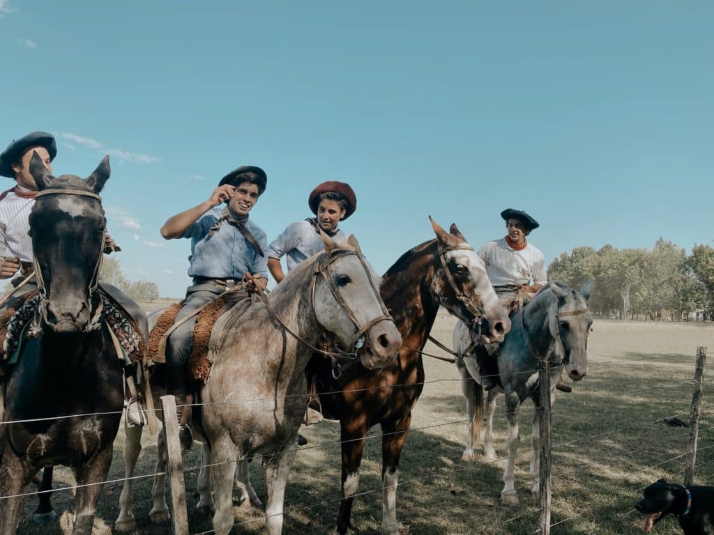 gauchos horse patagonia