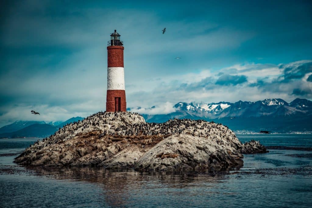 ile martillo ushuaia penguin