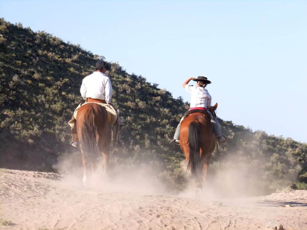 patagonia gaucho