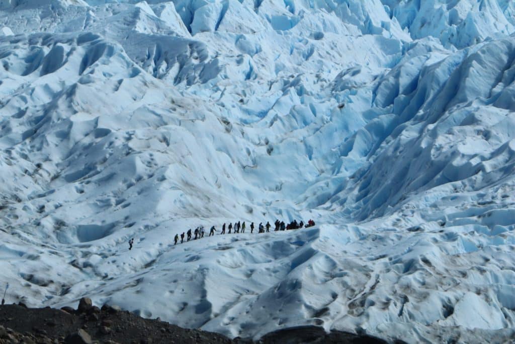 marche glacier patagonie