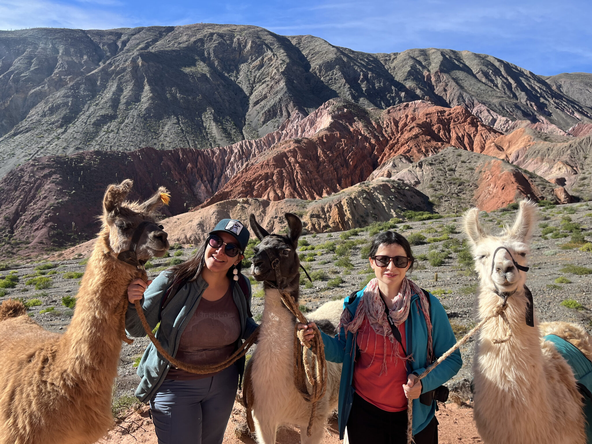 Balade avec les lamas dans le nord ouest argentin