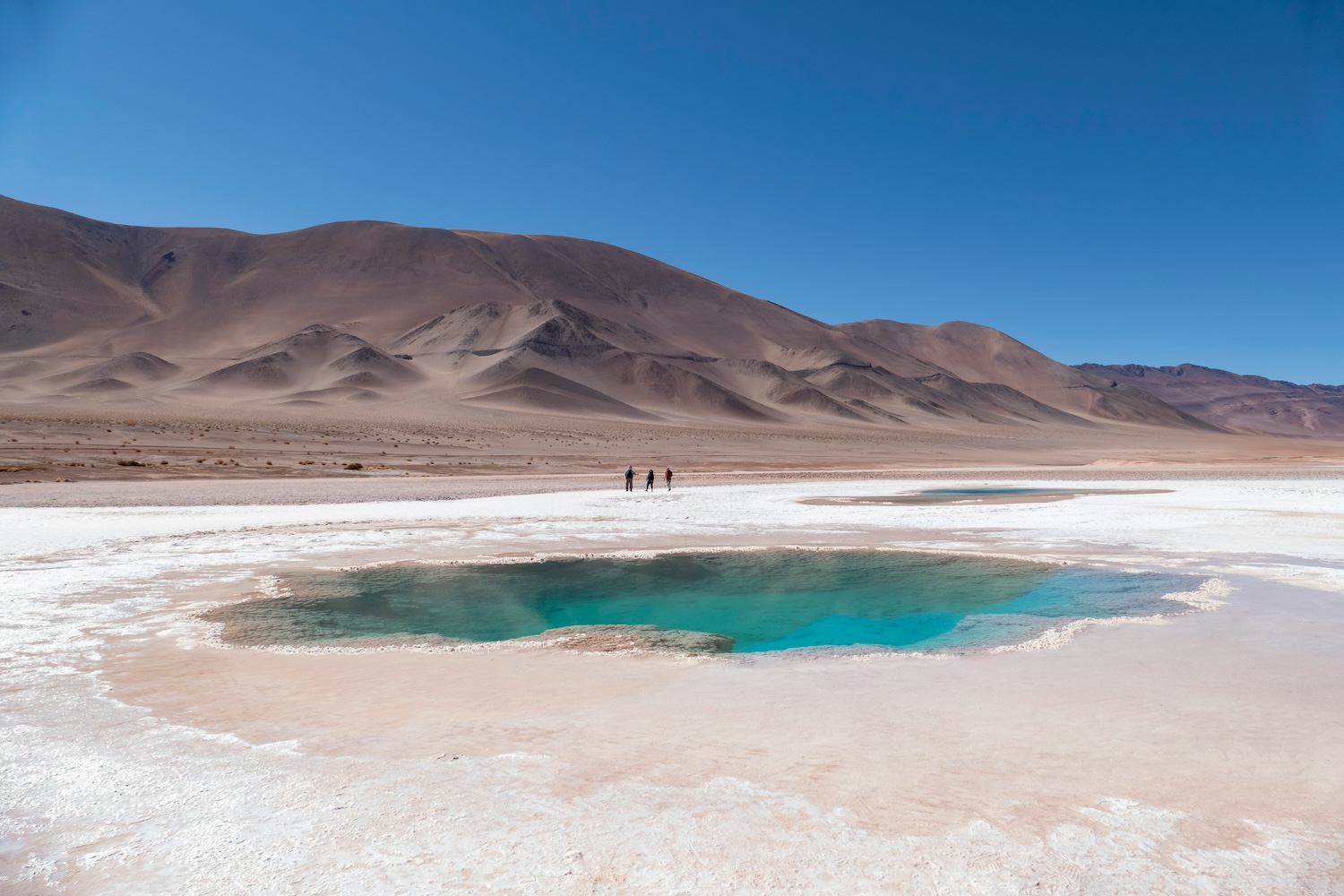 voyage au nord ouest argentin altiplano tolar grande estomagolythe