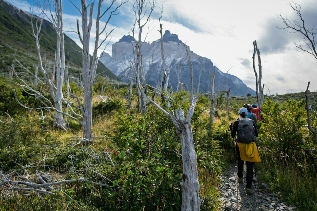 Paine grande torres del paine