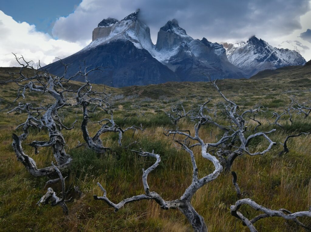 Sector grey torres trek W
