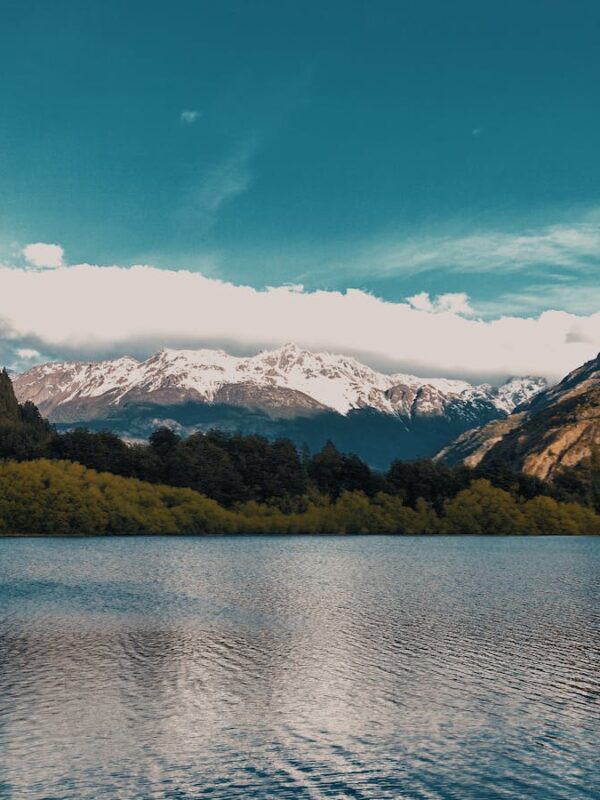 Calm lake with snow-capped mountains and lush greenery in Futaleufú, Chile.