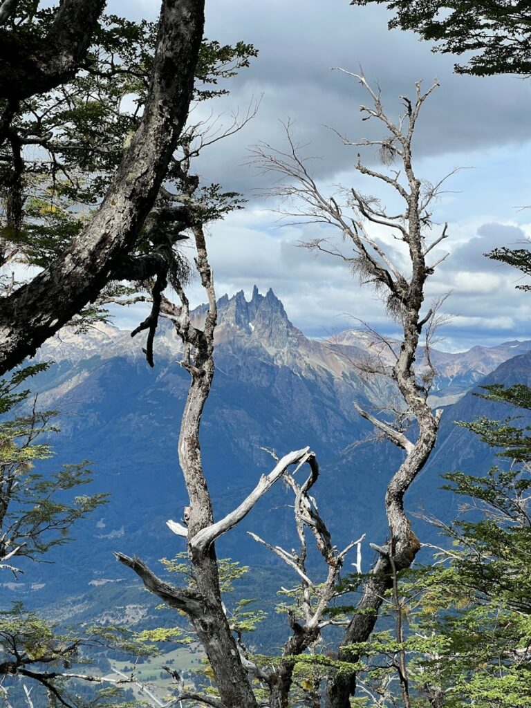 a view of a mountain range with trees and mountains in the background in futaleufu chile