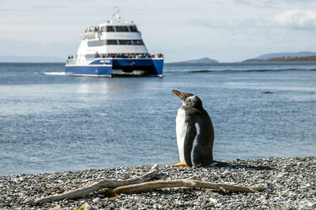 croisiere antarctique
