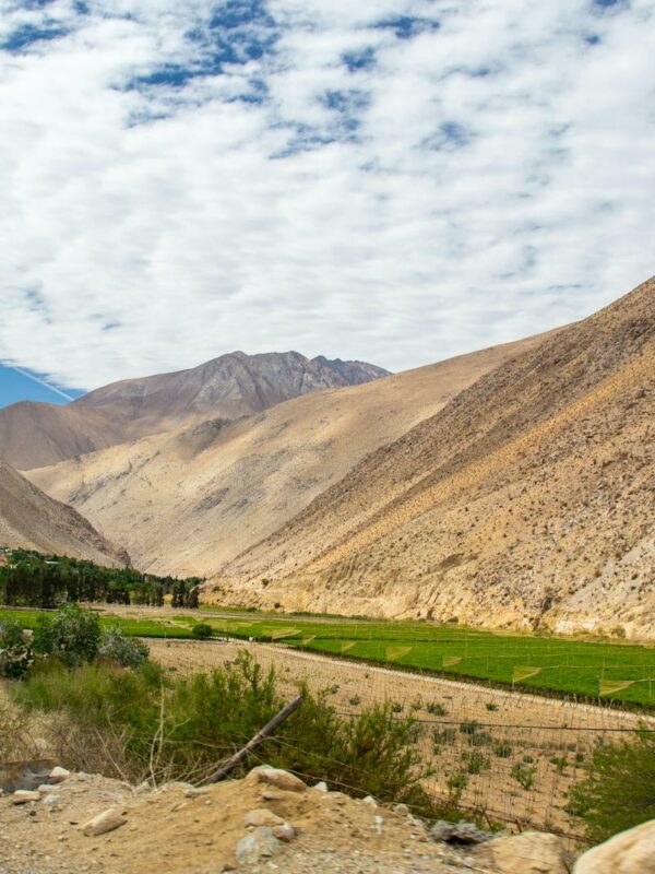 Breathtaking valley in Pisco Elqui, Chile with brown mountains and green fields under a cloud-dappled sky.