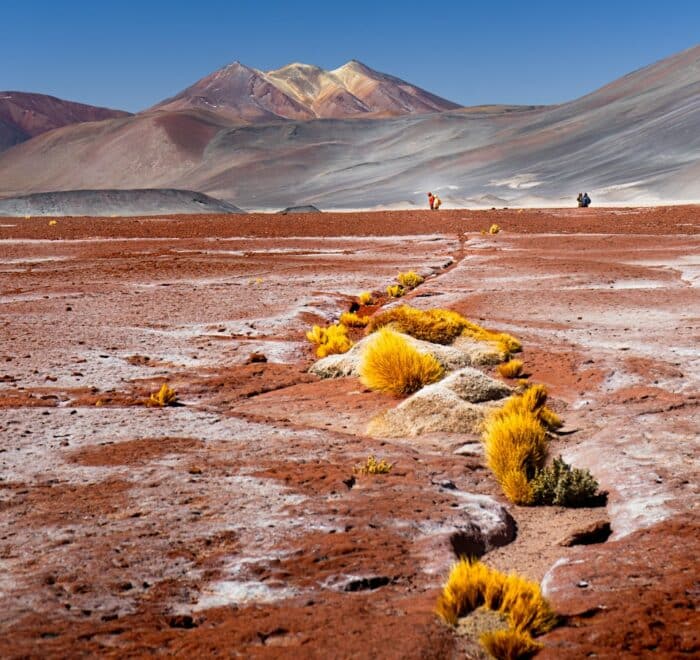 A dirt road in the middle of a desert