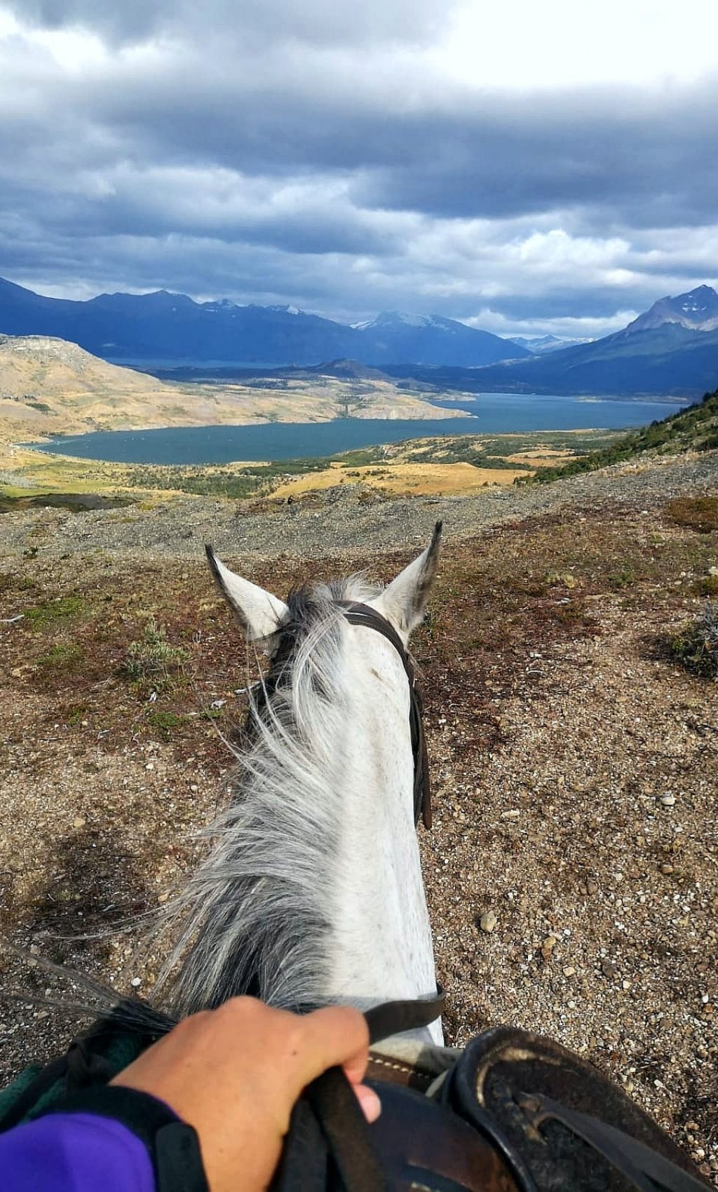 randonnée équestre balade cheval patagonie torres del paine laguna sofia