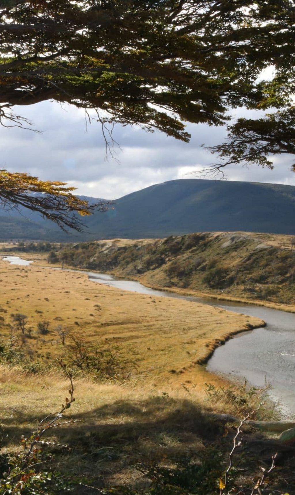 tierra del fuego patagonia chili argentina